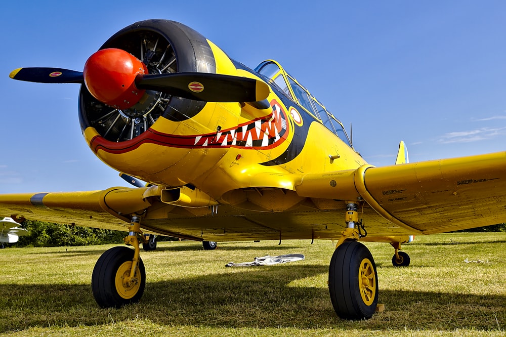 yellow and black biplane on green grass