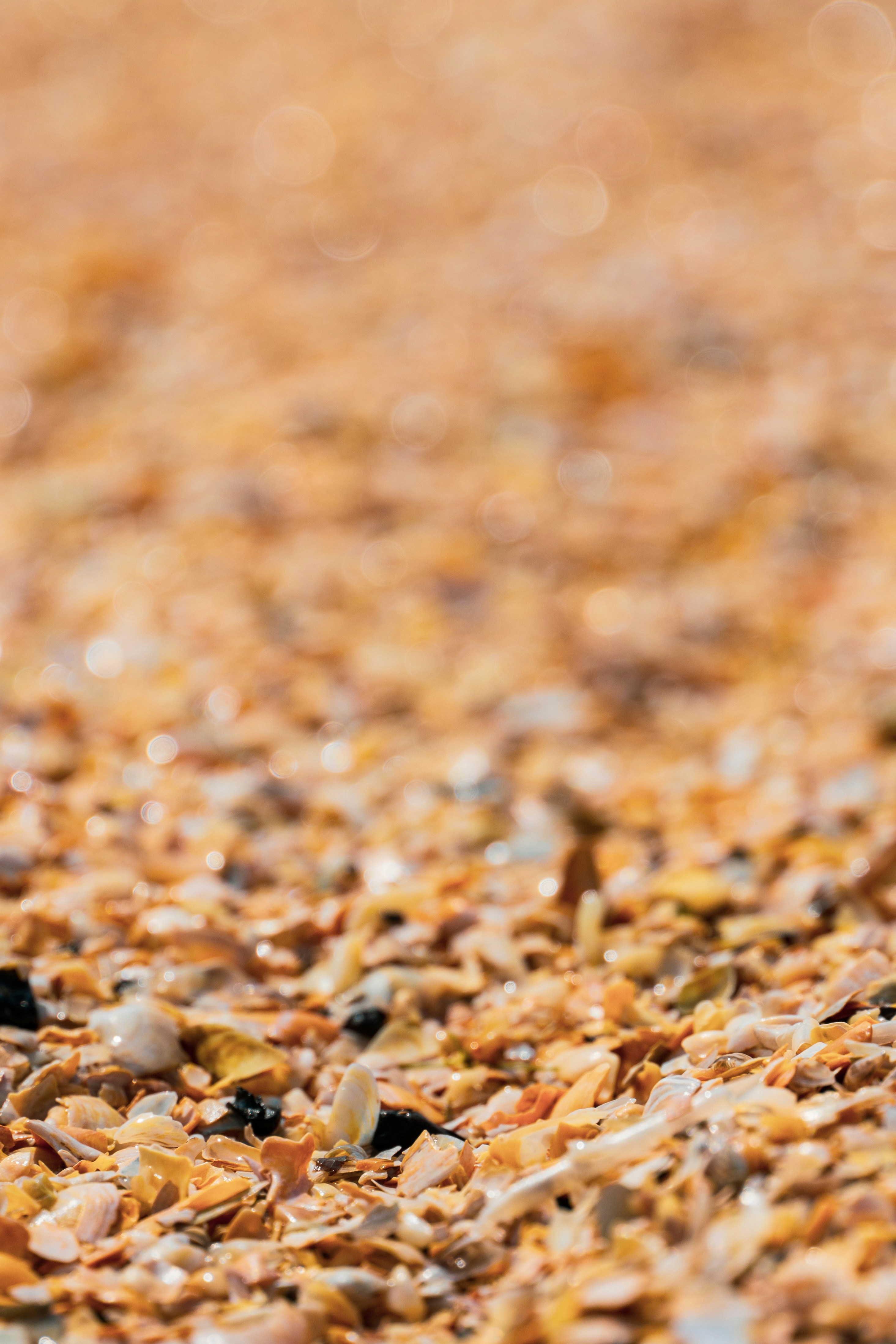 Photo by jeancarloemer