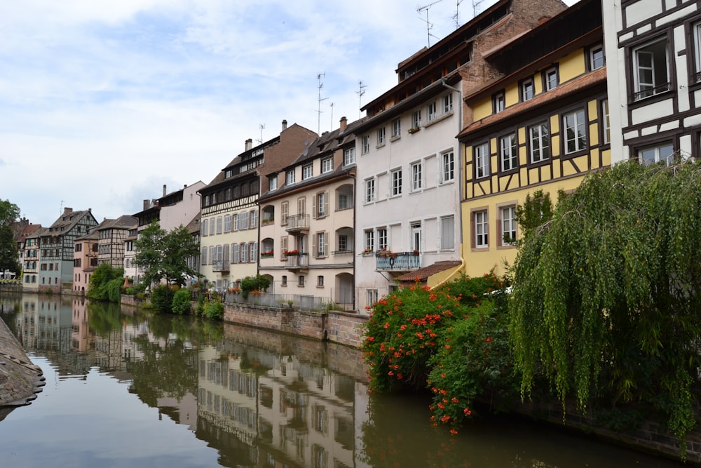 buildings beside calm body of water