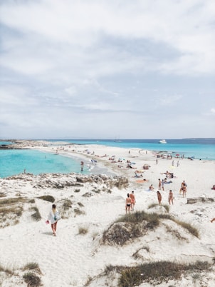 people on beach