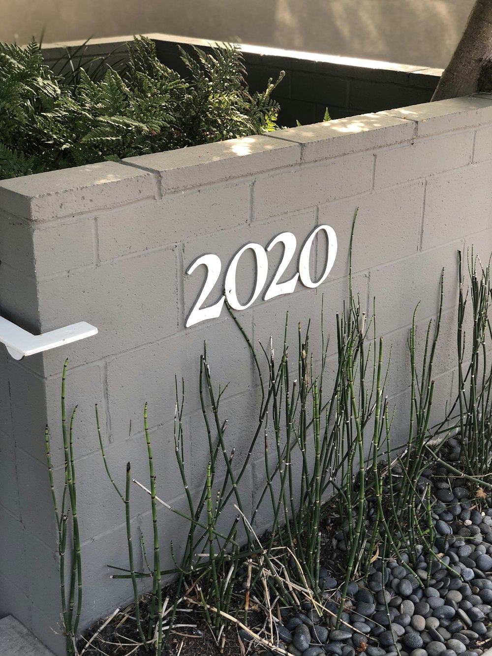 2020 number sign on gray concrete wall
