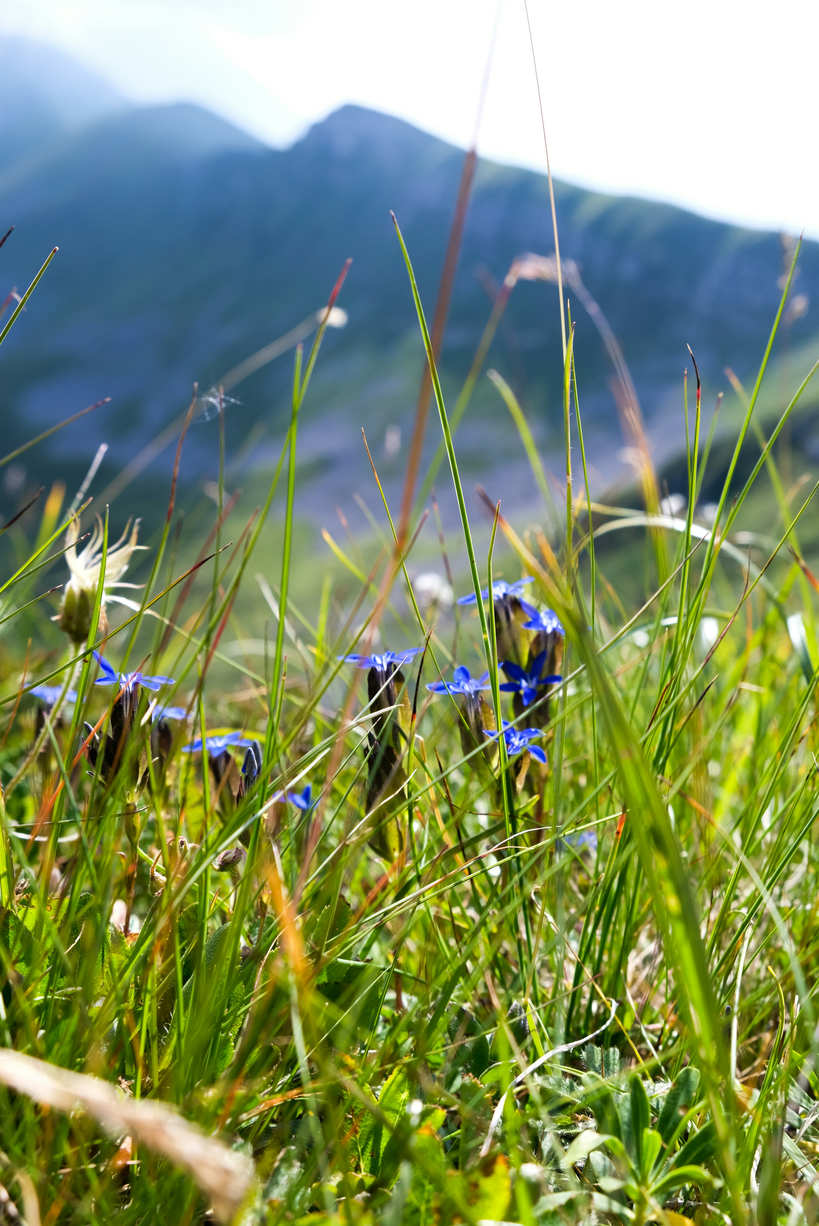 Photo by albertobigoni