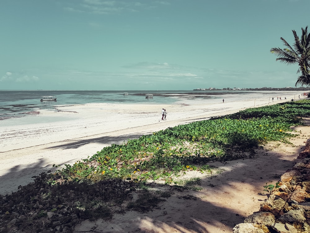 La playa de Lamu está considerada una de las más bellas y extensas de Kenia