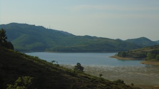 A serene landscape featuring lush green hills and a tranquil river, symbolizing natural wellness.