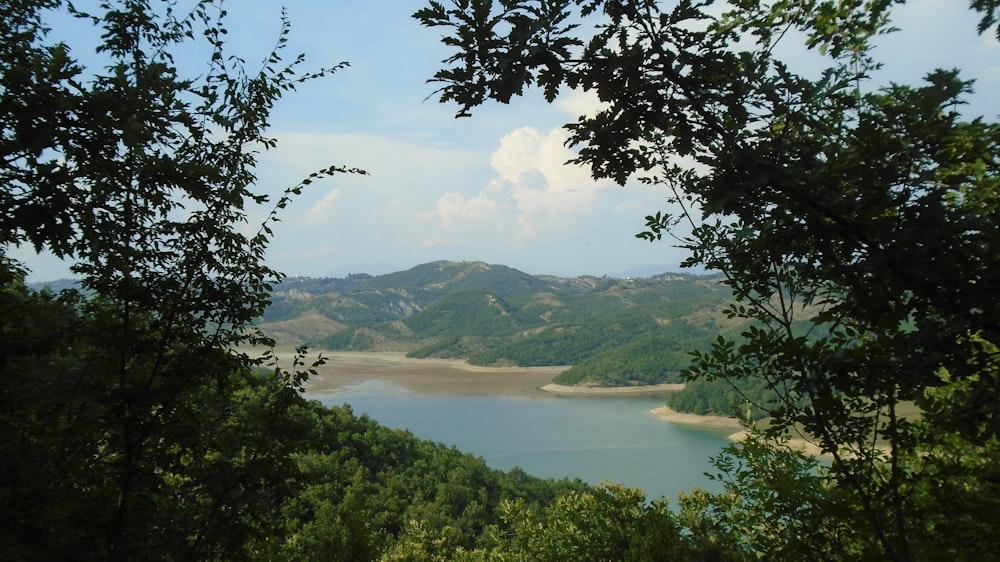 a view of a lake through some trees