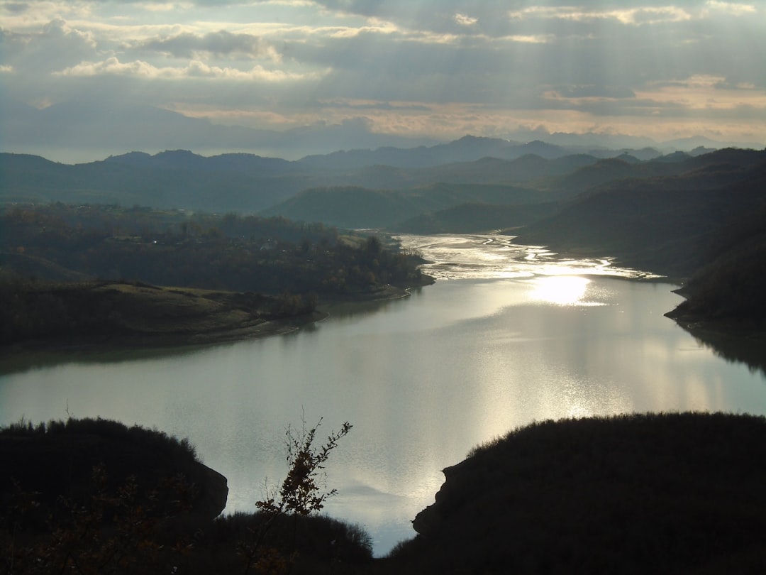 aerial view of trees near body of water,