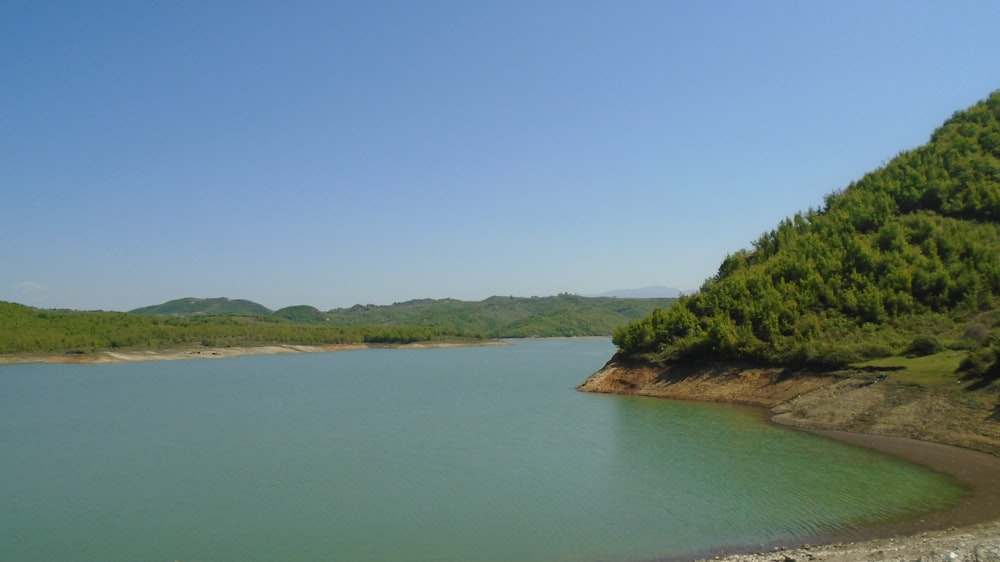 green trees mountain