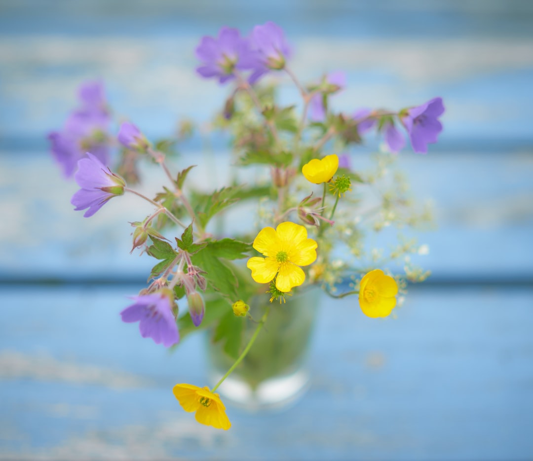 yellow and purple flowers with green leaves macro photography