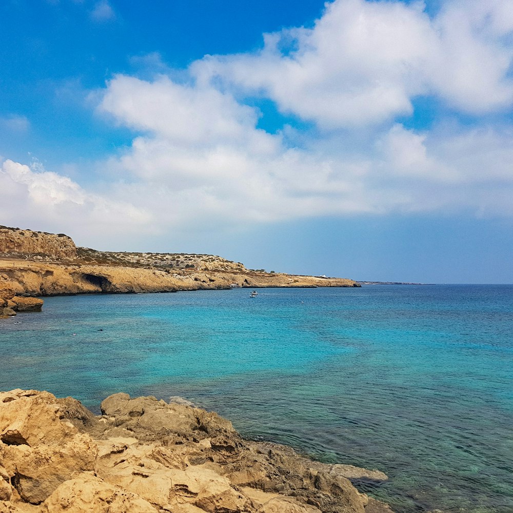 seashore during daytime