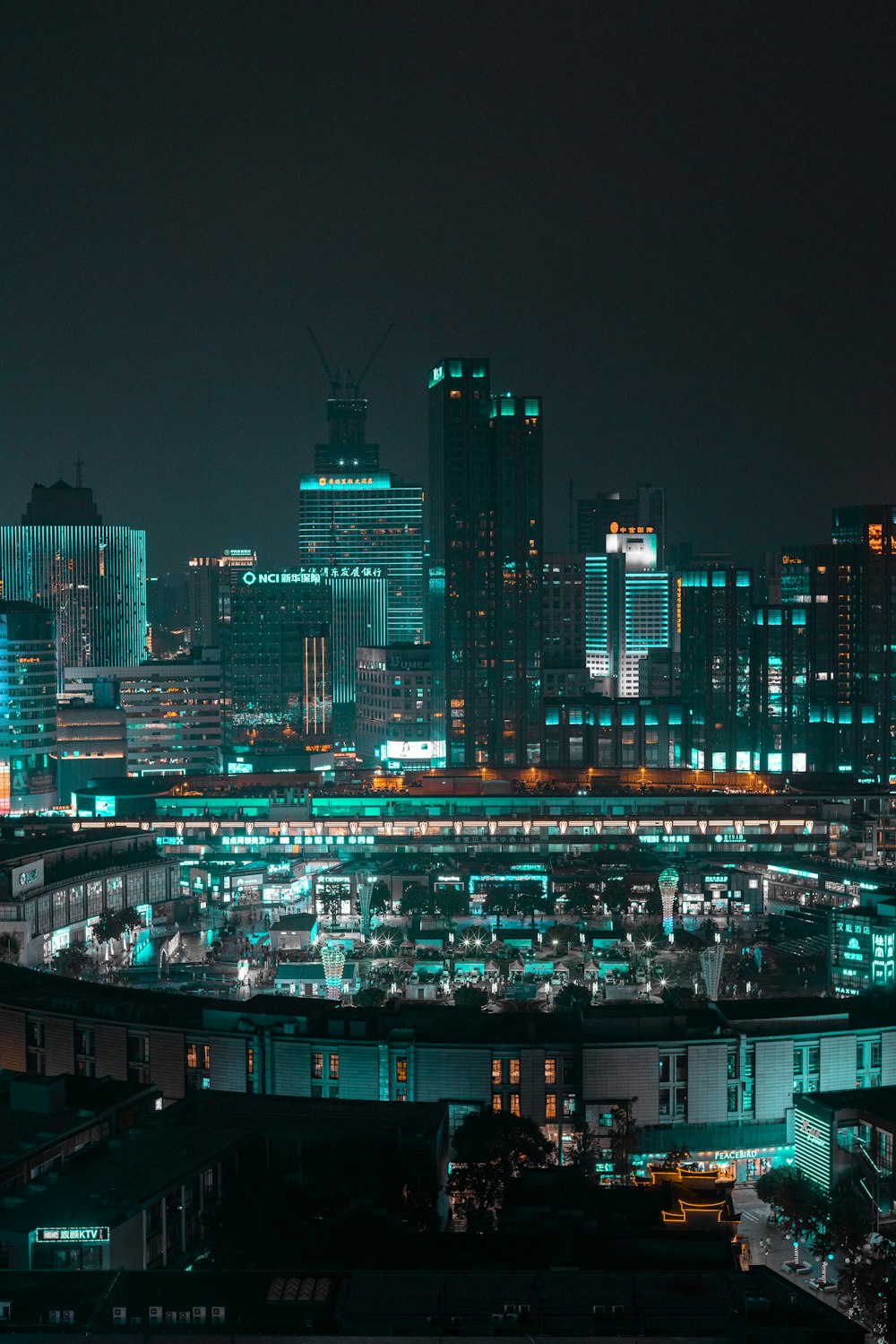 city during night