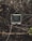 A vintage CRT television is nestled within a tangled web of branches and twigs, juxtaposed against the natural wooden textures and muted foliage. The scene presents a striking contrast between outdated technology and the raw elements of nature.
