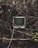 A vintage CRT television is nestled within a tangled web of branches and twigs, juxtaposed against the natural wooden textures and muted foliage. The scene presents a striking contrast between outdated technology and the raw elements of nature.