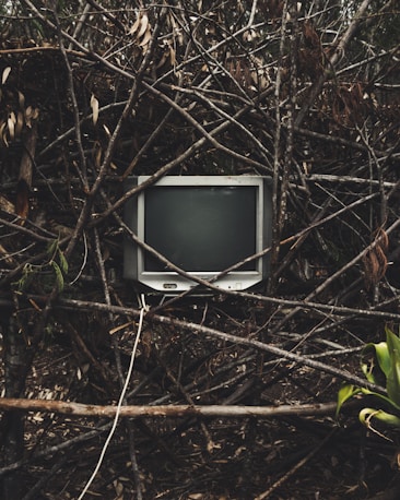 A vintage CRT television is nestled within a tangled web of branches and twigs, juxtaposed against the natural wooden textures and muted foliage. The scene presents a striking contrast between outdated technology and the raw elements of nature.