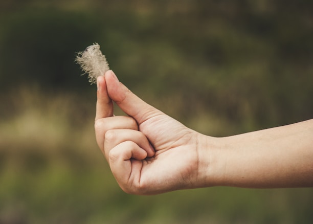 Close-up of Madame Vava’s gloved hand holding a delicate feather, symbolizing sensory exploration.
