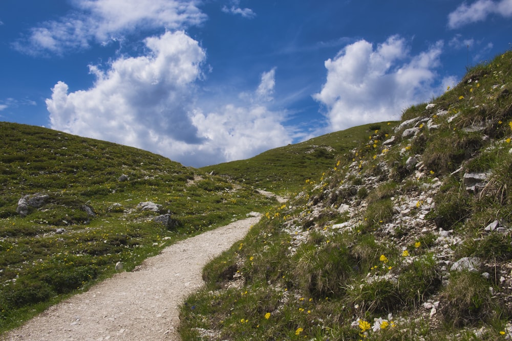 road in a green hill during daytime