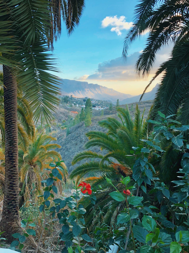 Gran Canaria