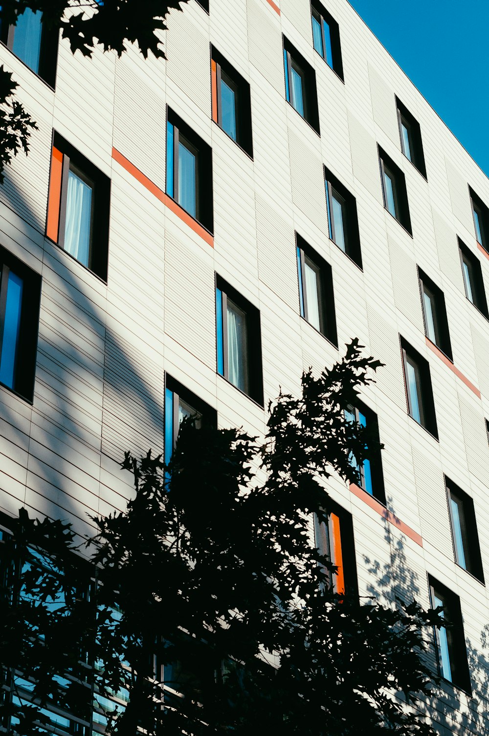 white building near trees during day