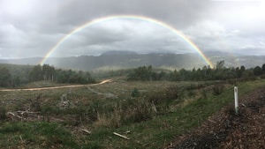 A vibrant rainbow spans across a lush, green landscape with rolling hills and dense forest. The sky is overcast with gray clouds, and a dirt path cuts through the foreground of the image. A lonely white post stands by the side of the path, adding a solitary manmade element to the natural scenery.