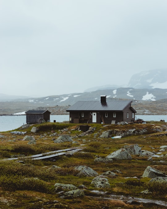 gray house on grass field in Finse Norway