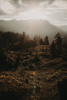 Sunlight breaking through clouds onto a serene loch surrounded by ancient pine forests.