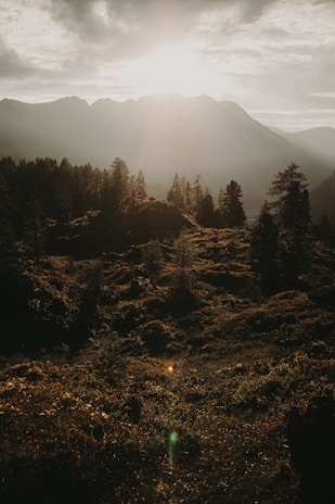 Sunlight breaking through clouds onto a serene loch surrounded by ancient pine forests.