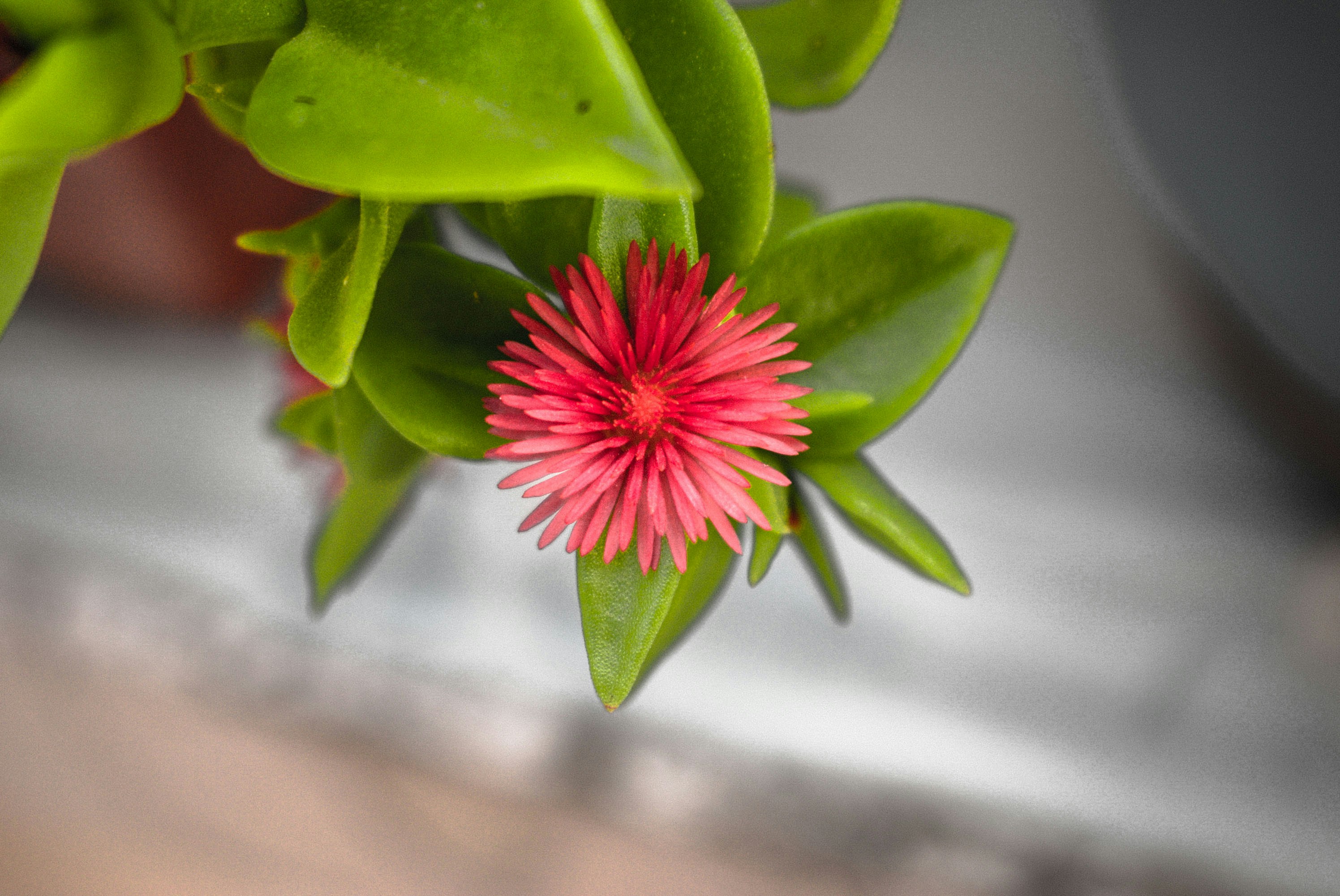 Photo by bilal_ayadi