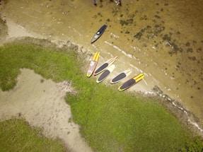 Several paddleboards are arranged on a sandy beach next to a grassy area. The beach is adjacent to a body of water with a few ripples visible. The boards are mostly black, yellow, and red, lying parallel to the waterline. The surrounding area is lush with green grass and there are small patches of sand.