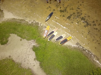 Several paddleboards are arranged on a sandy beach next to a grassy area. The beach is adjacent to a body of water with a few ripples visible. The boards are mostly black, yellow, and red, lying parallel to the waterline. The surrounding area is lush with green grass and there are small patches of sand.