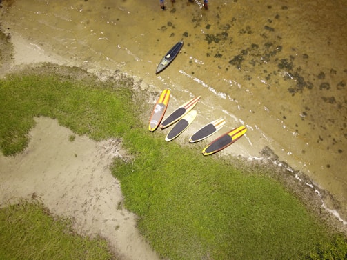 Team members preparing paddleboards on a sandy beach with lush greenery in the background.