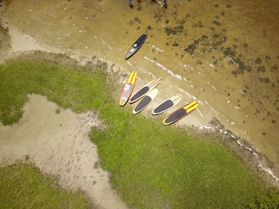 Several paddleboards are arranged on a sandy beach next to a grassy area. The beach is adjacent to a body of water with a few ripples visible. The boards are mostly black, yellow, and red, lying parallel to the waterline. The surrounding area is lush with green grass and there are small patches of sand.
