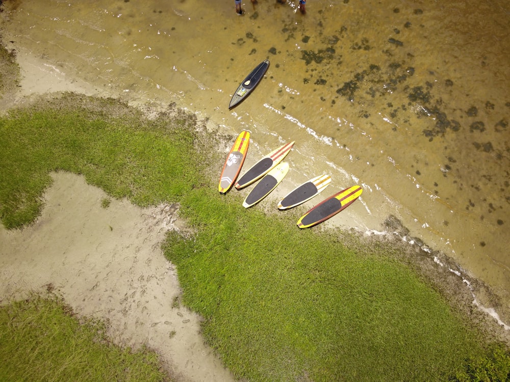 planches de surf sur le rivage