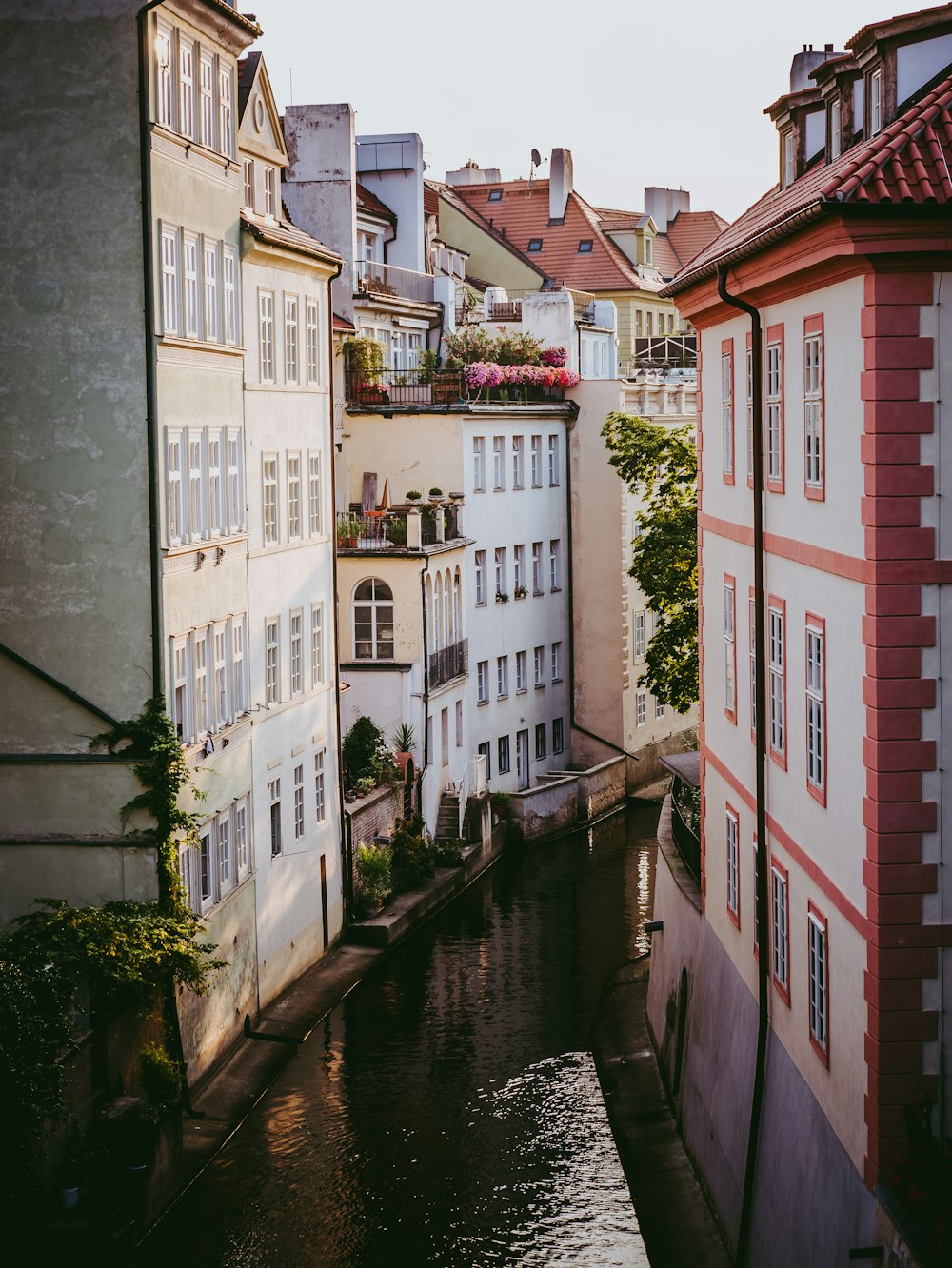 buildings with water stream