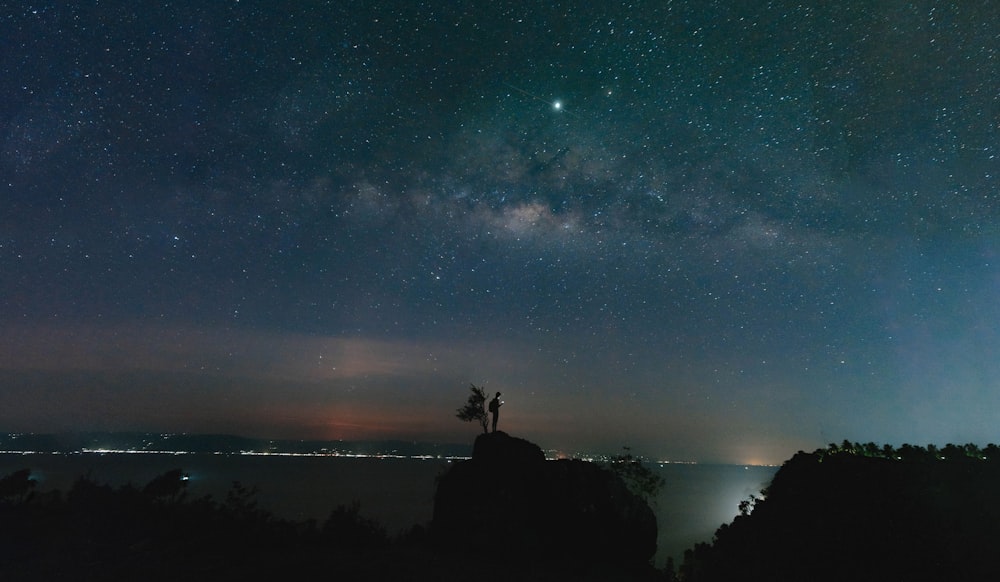 silhouette of forest at night time