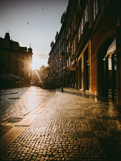 A quaint, cobblestone street captures the warmth of a setting sun, casting long shadows across the pavement. The street is lined with old, charming European-style buildings with intricate architectural details. The sky is a soft gradient, and a couple of birds fly across it, adding life to the serene scene.