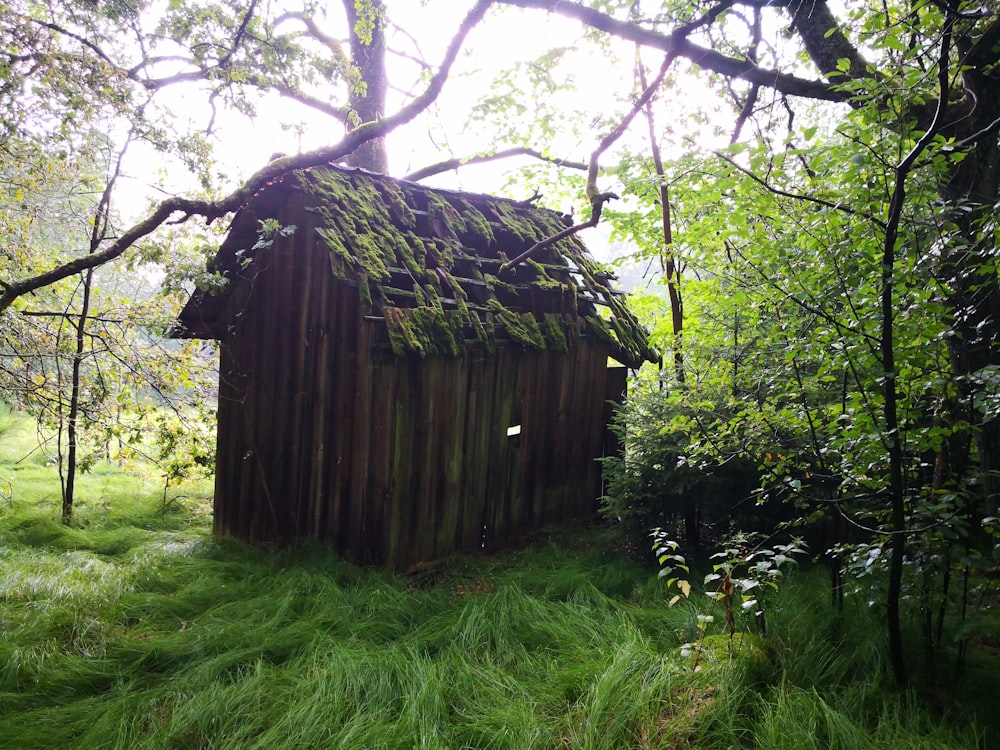 brown wooden shed