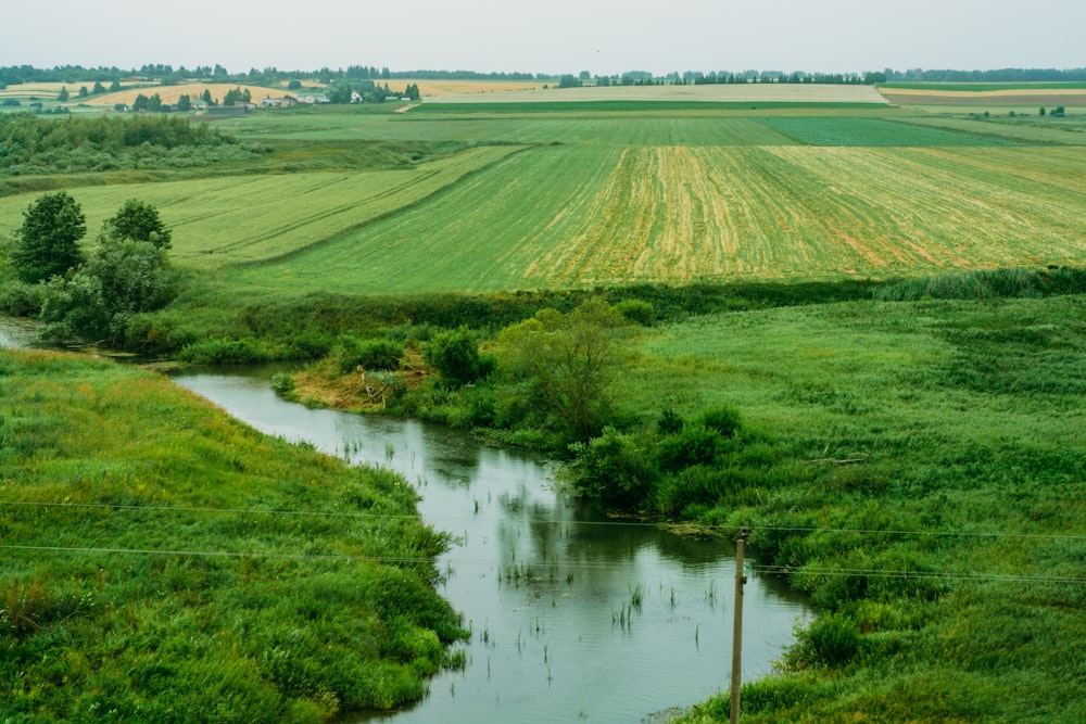 a river running through a lush green field