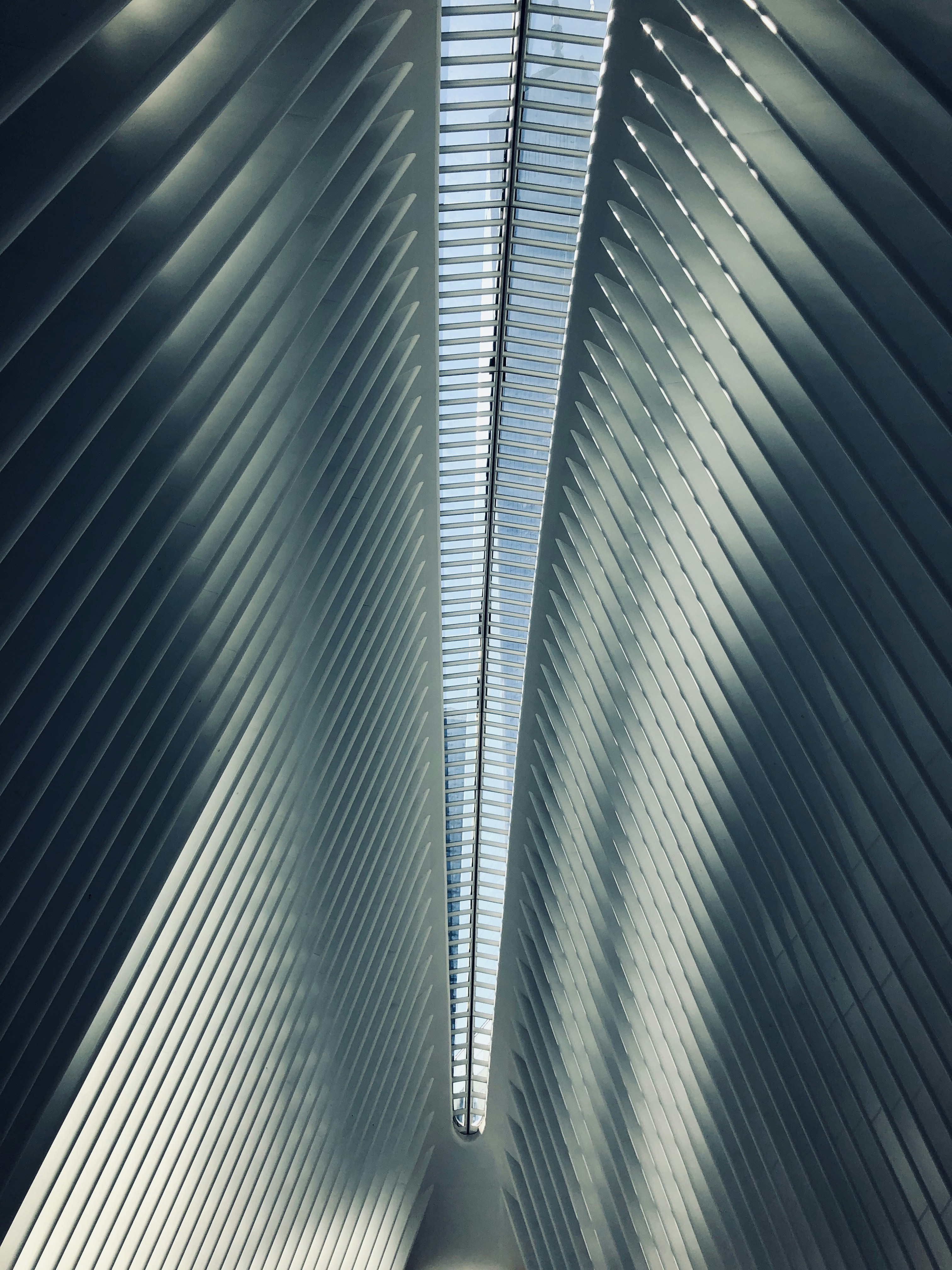 Photo by laura_hornos