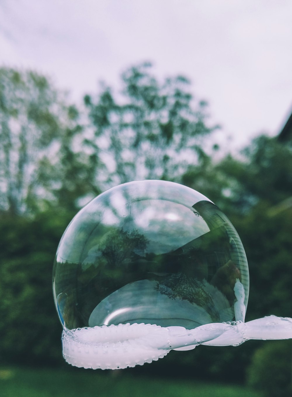 close-up of bubbles