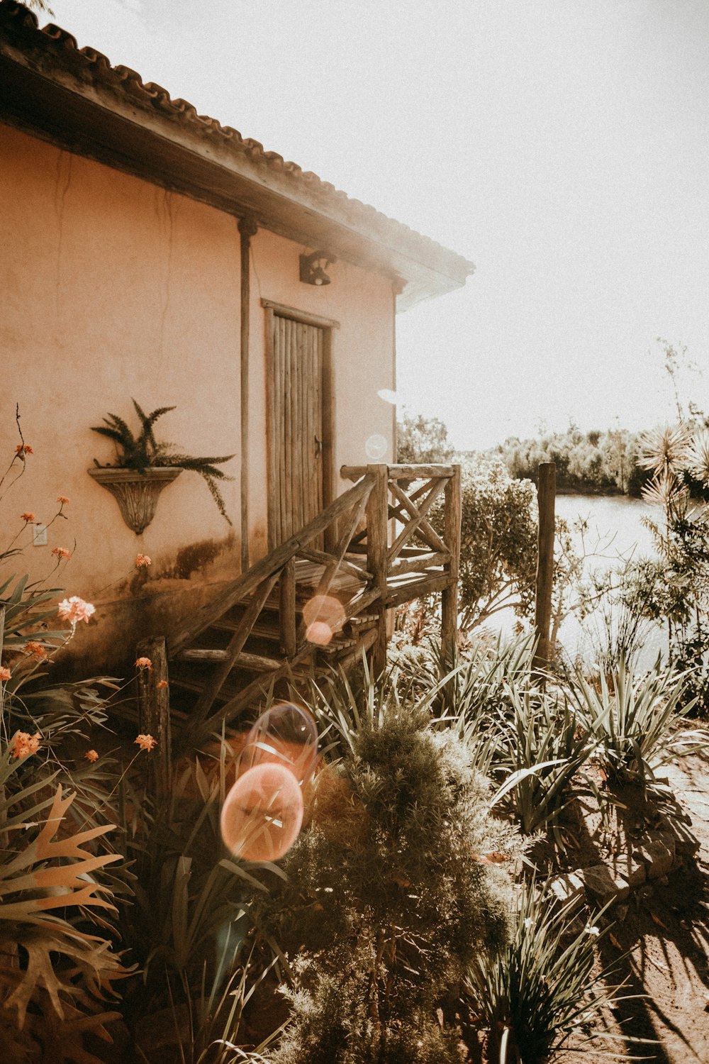 house surrounded by flowers