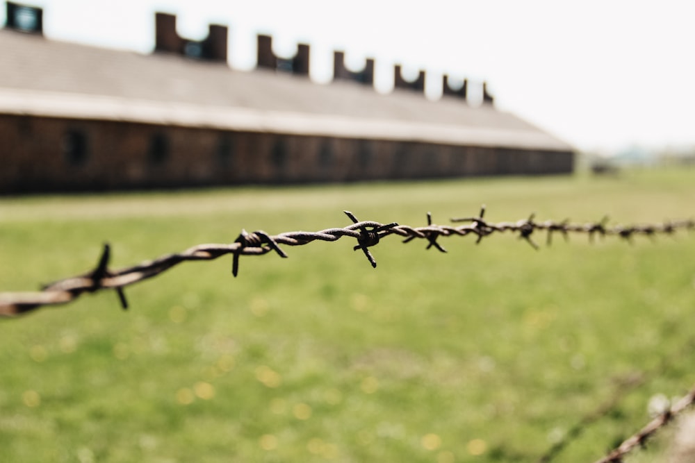 grey barb wire during daytime