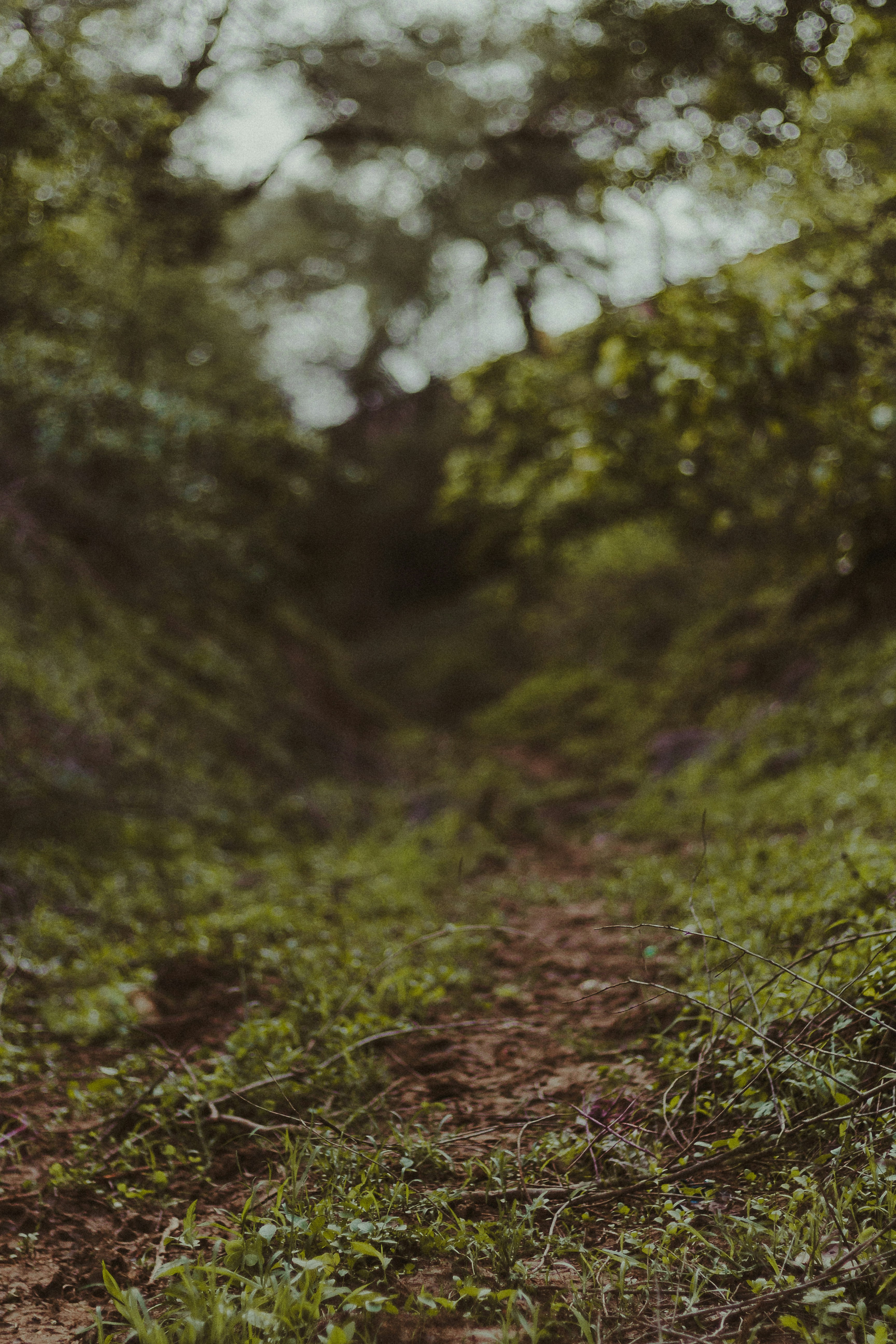 Photo by aniket940518