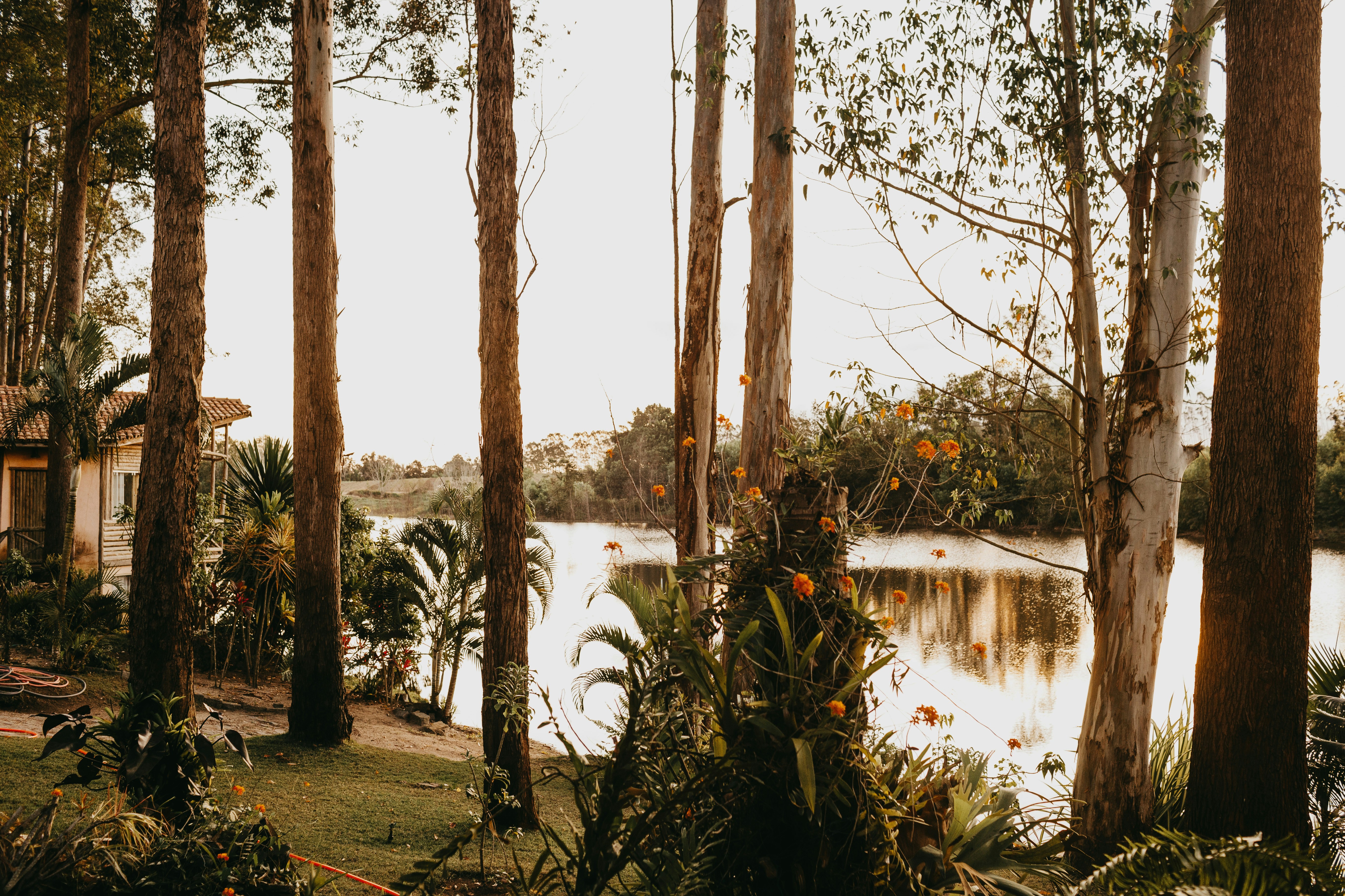 Photo by jonathanborba