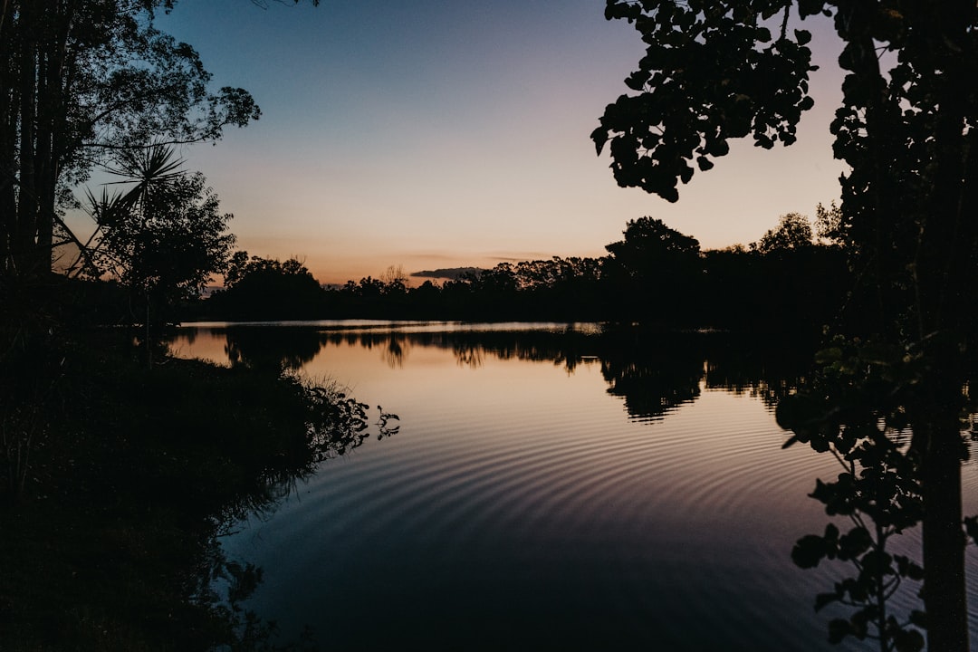 calm body of water at night