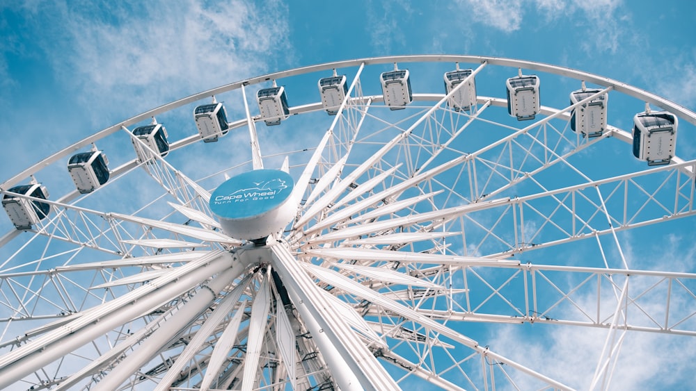 white and blue ferries wheel
