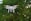 A white quadcopter drone with a camera attached underneath hovers in mid-air against a backdrop of blurred green foliage. The rotors are in motion, suggesting the drone is actively flying.