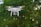 A white quadcopter drone with a camera attached underneath hovers in mid-air against a backdrop of blurred green foliage. The rotors are in motion, suggesting the drone is actively flying.