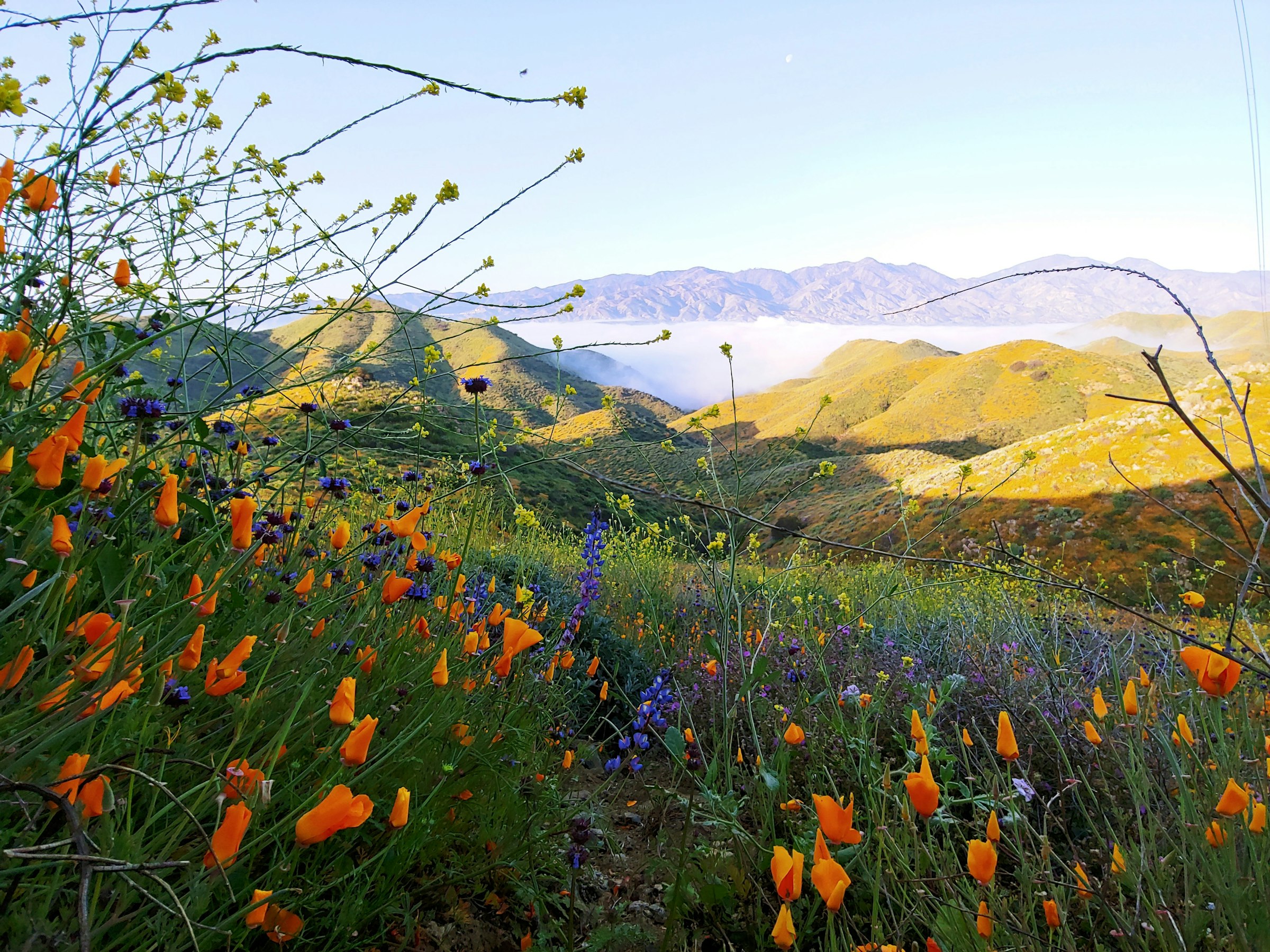 Perris Valley landscape, California