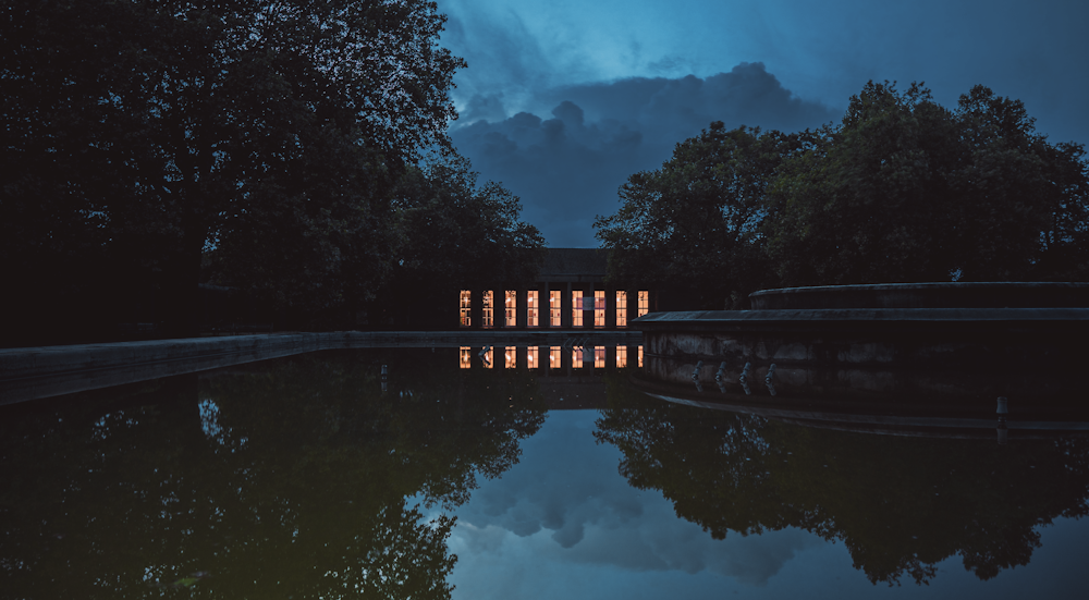 body of water beside trees