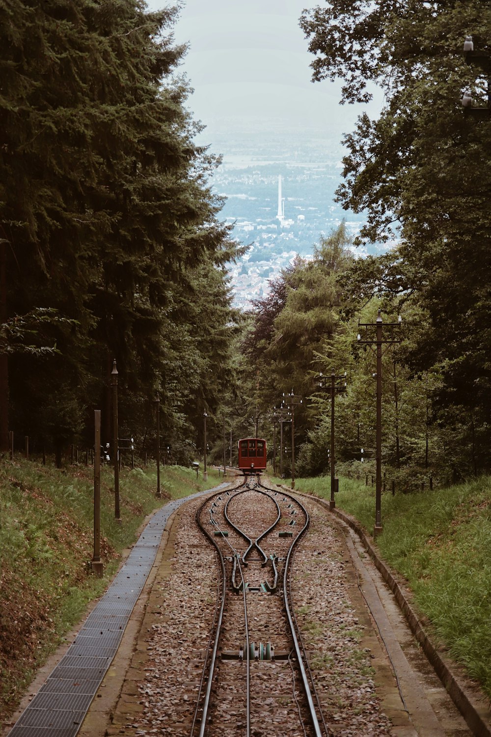 red train on railway between trees during daytime