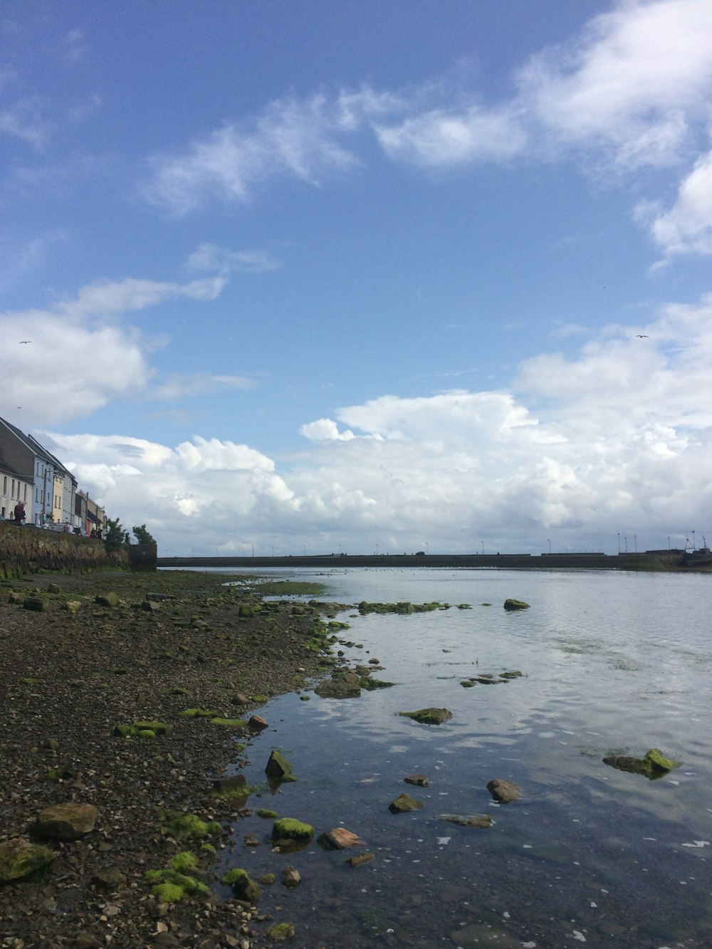 sea with sandy seashore under white clouds at daytime